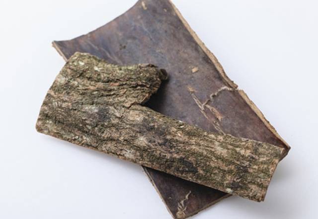杜仲茶功效 杜仲茶功效