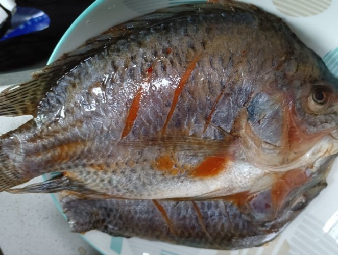 羅非魚 羅非魚