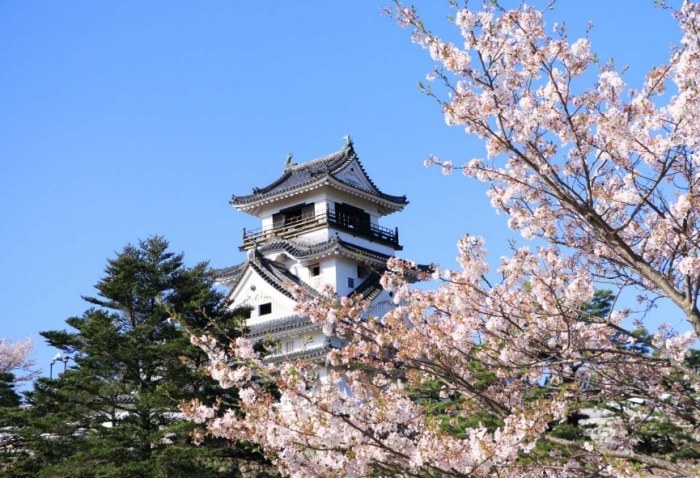 四國旅遊 四國旅遊
