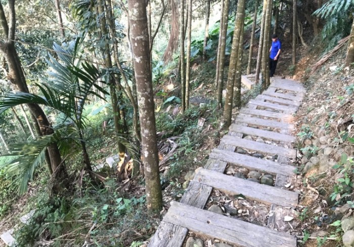 坑內坑森林步道 坑內坑森林步道