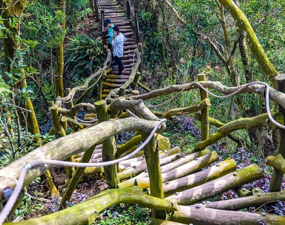 烘爐地登山步道 烘爐地登山步道