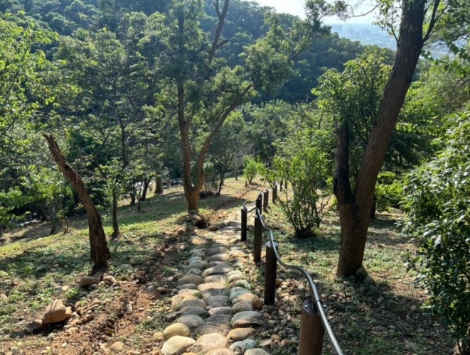 小南港山 小南港山