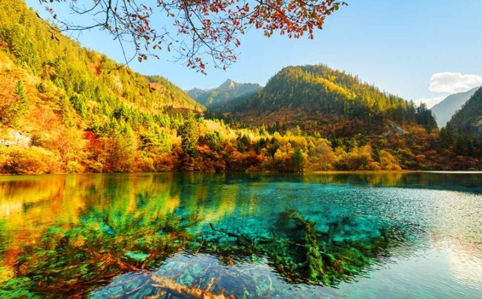 九寨溝旅遊 九寨溝旅遊