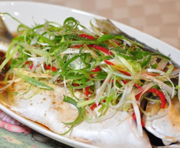 金鯧魚 金鯧魚