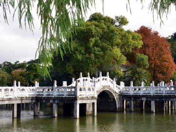 碧湖步道 碧湖步道