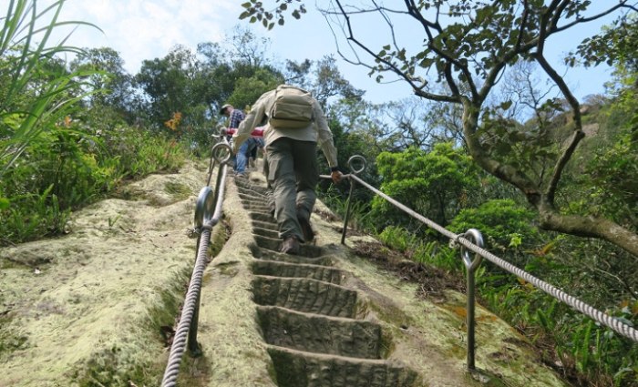 孝子山步道 孝子山步道
