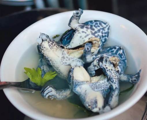 青蛙湯 青蛙湯