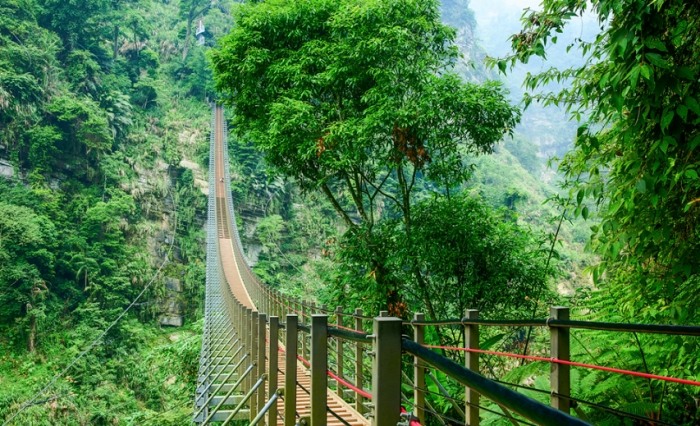 溪頭附近景點