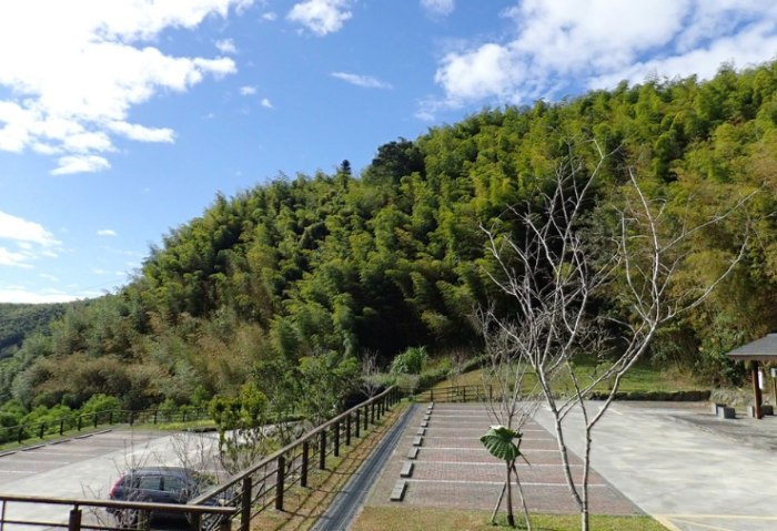 茶山步道 茶山步道
