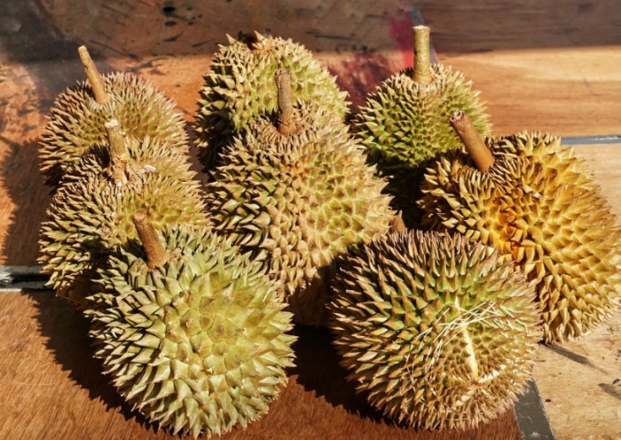 榴槤對女人的好處 榴槤對女人的好處