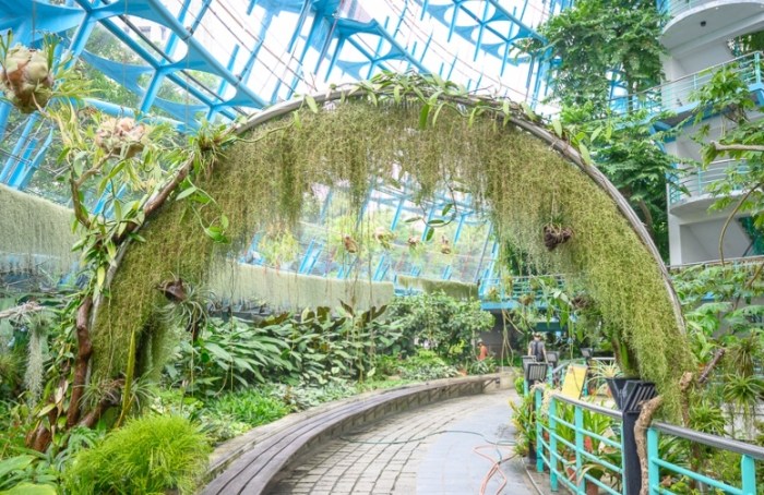 國立科學博物館 國立科學博物館