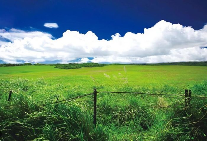 屏東好玩的地方 屏東好玩的地方