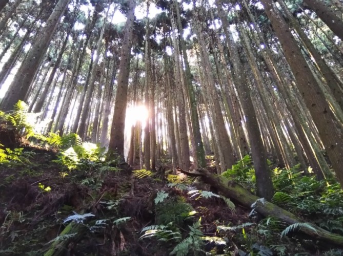 民都有山 民都有山