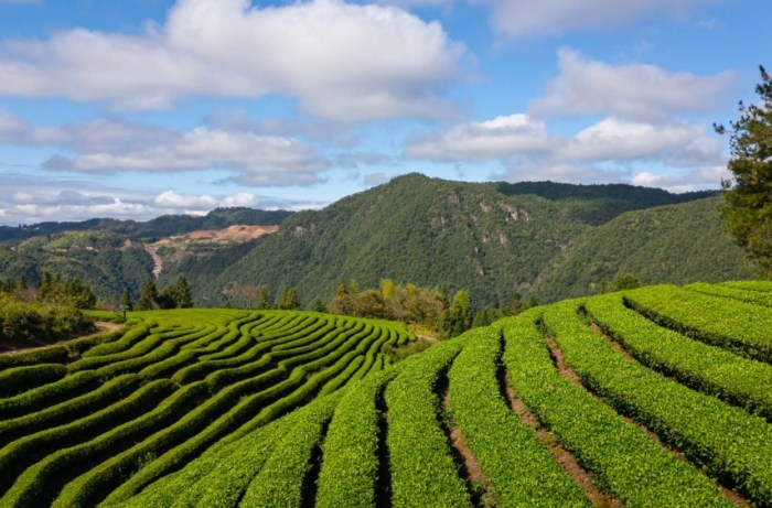 龍潭景點推薦 龍潭景點推薦