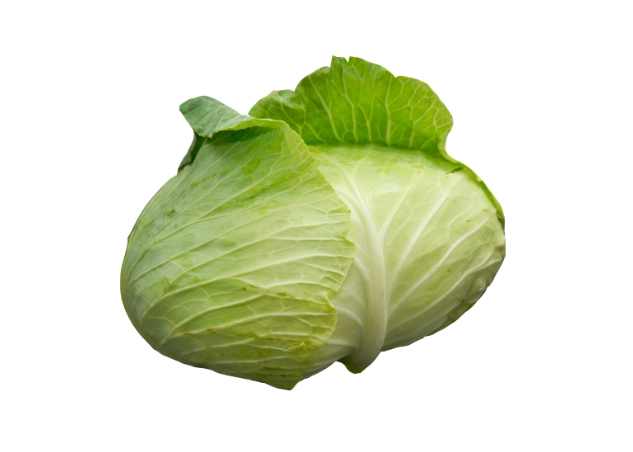 高麗菜熱量 高麗菜熱量
