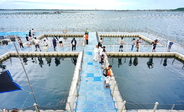 澎湖海洋牧場 澎湖海洋牧場