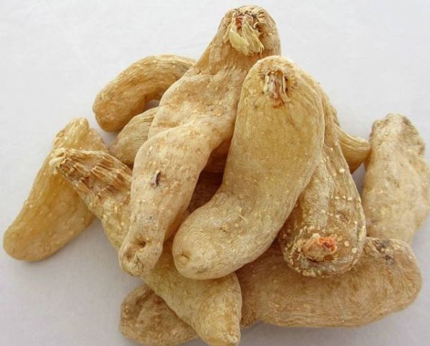 天麻的功效 天麻的功效