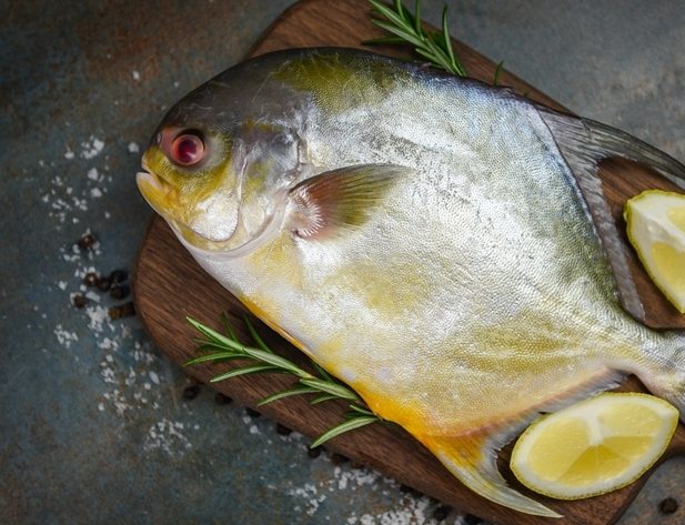 金鯧魚 金鯧魚