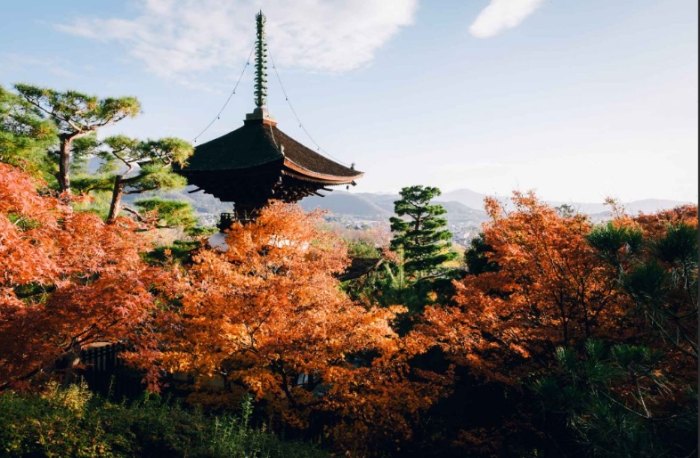 常寂光寺 常寂光寺