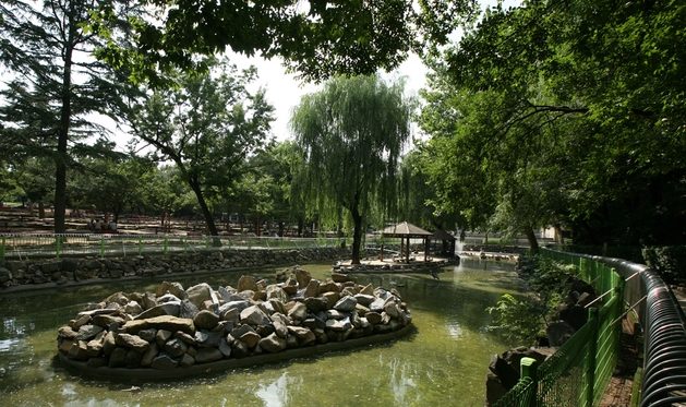 大邱景點 大邱景點