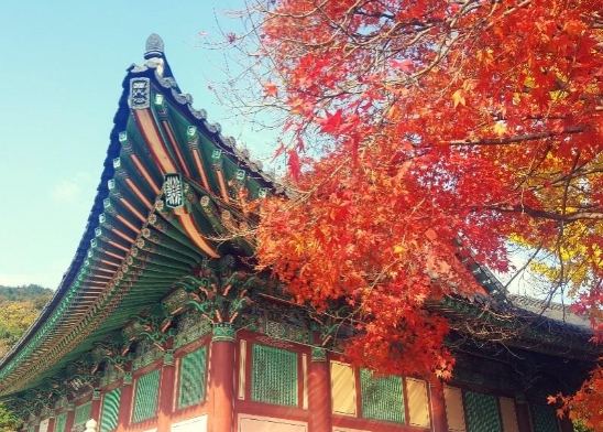 梵魚寺