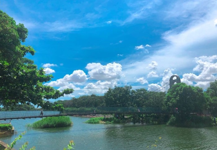 台南白河景點 台南白河景點