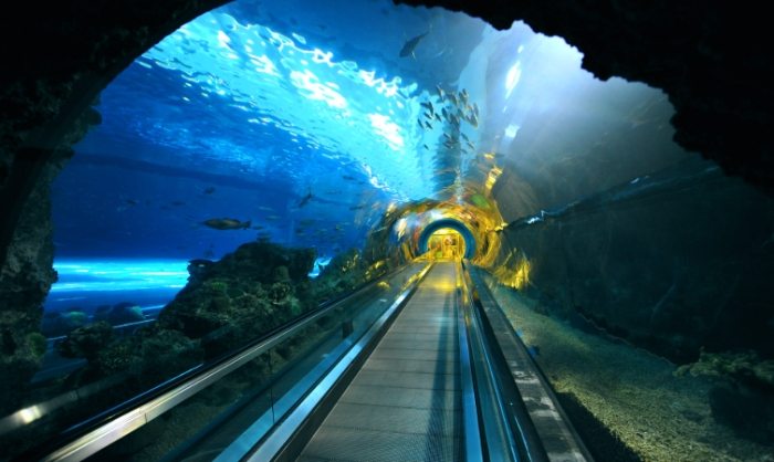 杰森海洋館 杰森海洋館