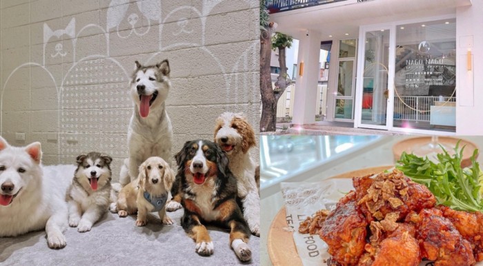 動物餐廳 動物餐廳