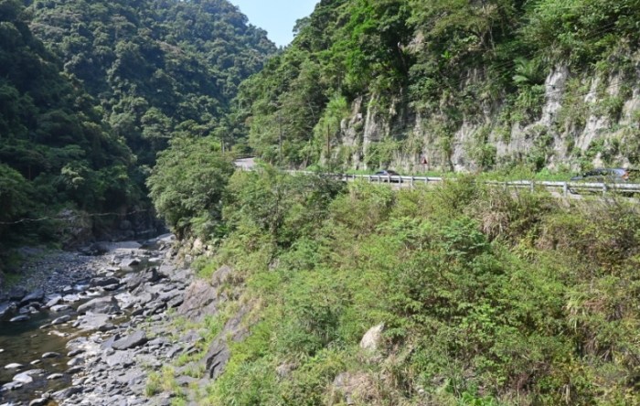 信賢步道 信賢步道