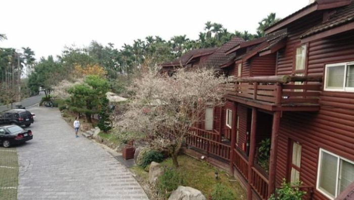 鳳凰谷鳥園住宿 鳳凰谷鳥園住宿