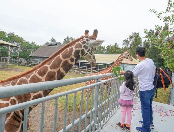 頑皮世界野生動物園 頑皮世界野生動物園