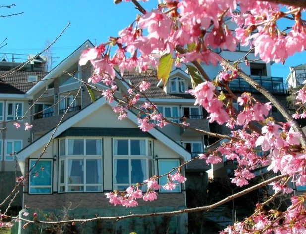 清境住宿 清境住宿