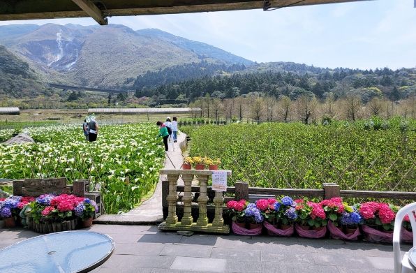 竹子湖餐廳