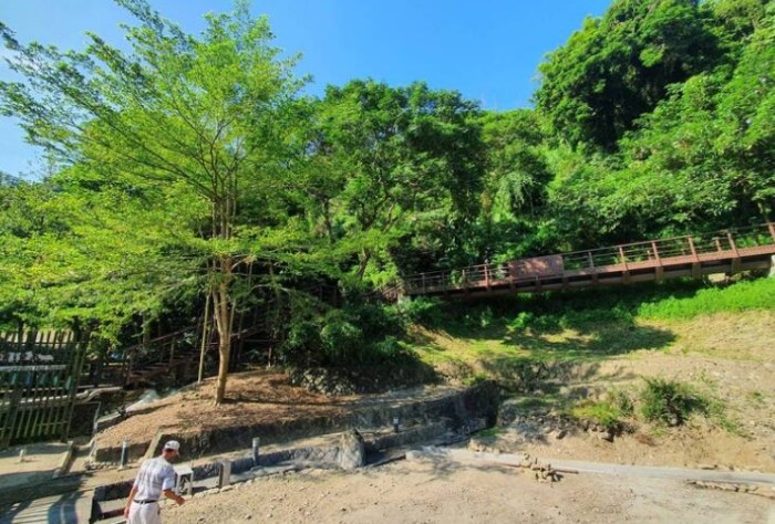 台南白河景點 台南白河景點