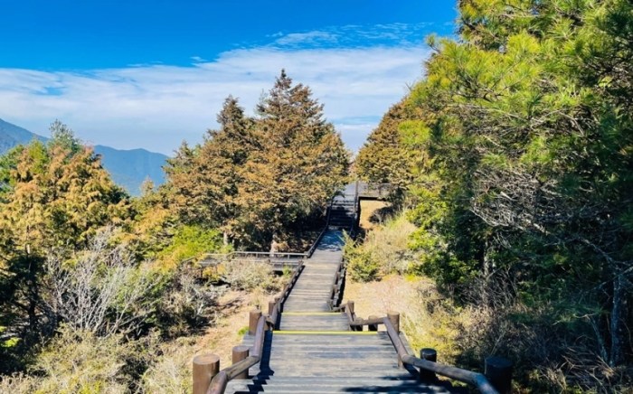 觀霧山莊 觀霧山莊