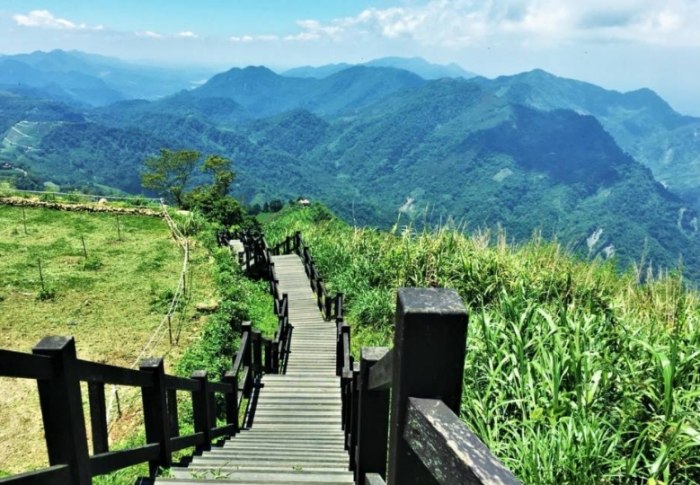 阿里山二延平步道 阿里山二延平步道