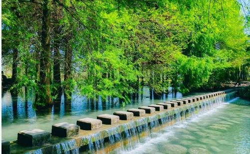 呼拉莊園 呼拉莊園
