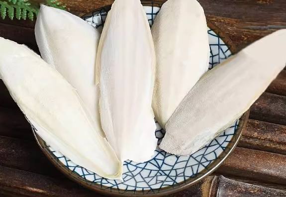 海螵蛸功效 海螵蛸功效