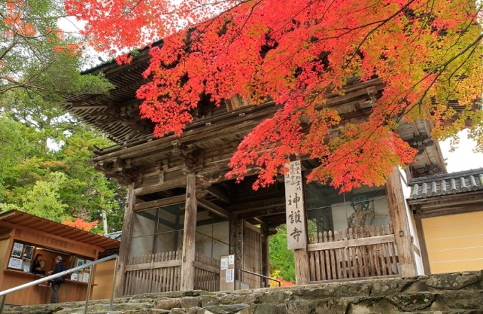 京都必去