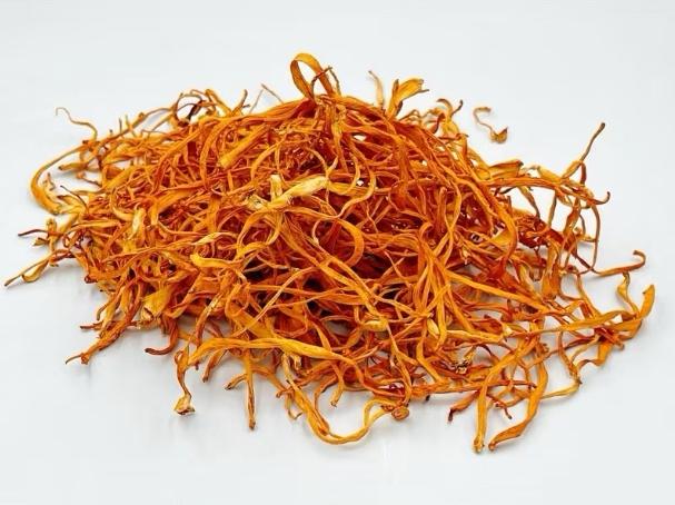 黃金蟲草功效 黃金蟲草功效