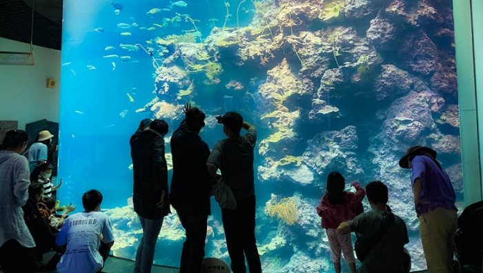 屏東水族館 屏東水族館