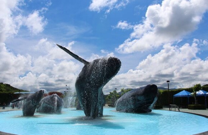 台灣水族館 台灣水族館