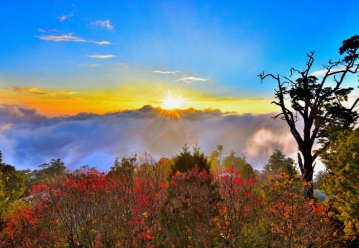 橫嶺山 橫嶺山