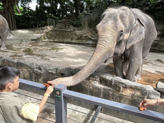 深圳野生動物園 深圳野生動物園