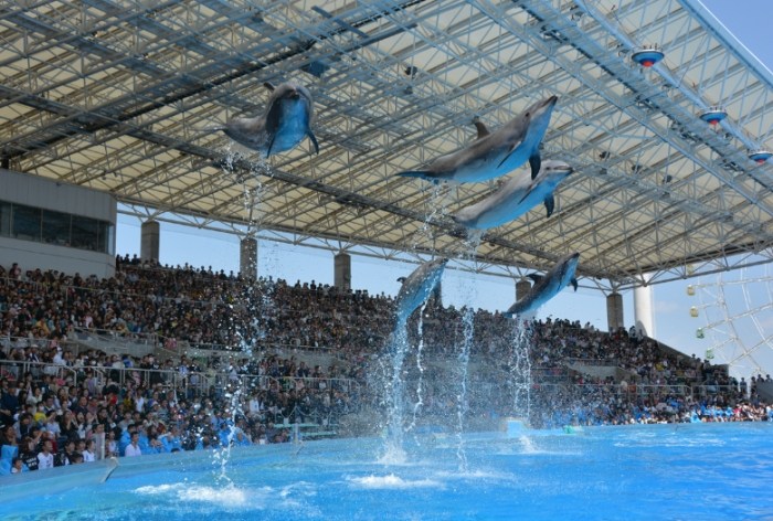 名古屋水族館 名古屋水族館