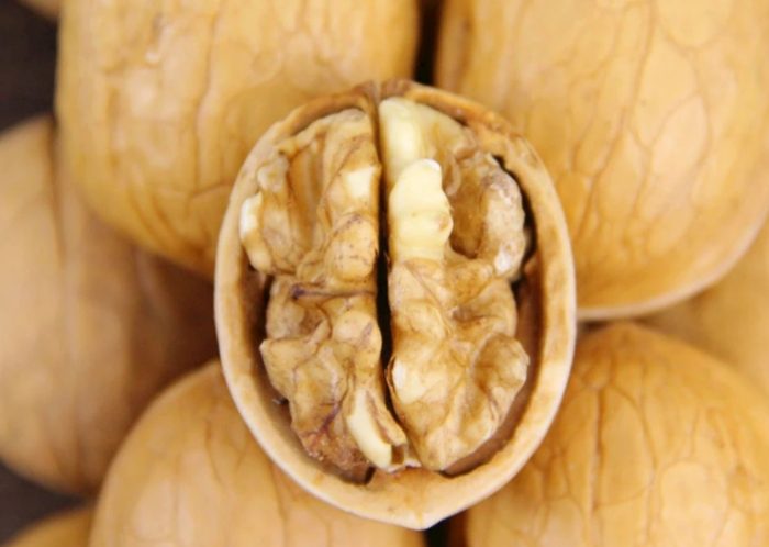 吃核桃的好處 吃核桃的好處