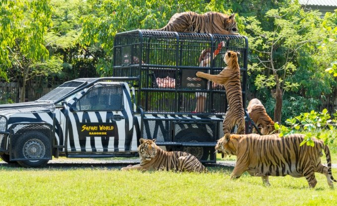 曼谷動物園 曼谷動物園