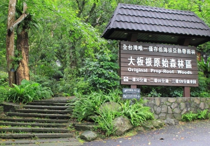三峽大板根森林遊樂區 三峽大板根森林遊樂區