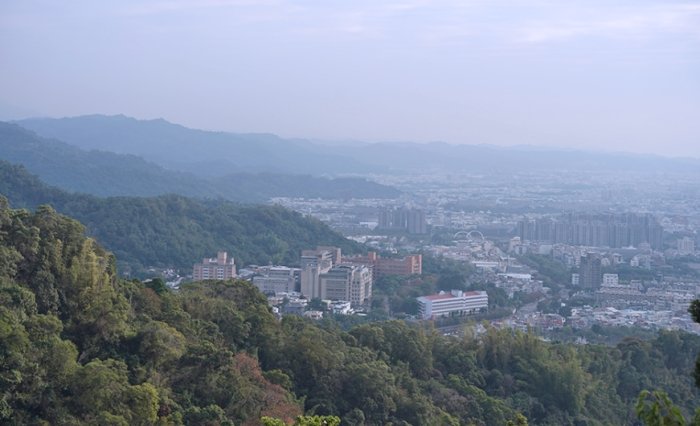 大坑九號步道 大坑九號步道