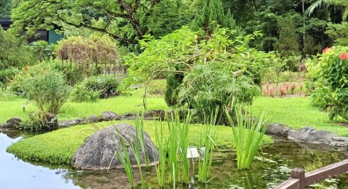 富源國家森林遊樂區 富源國家森林遊樂區